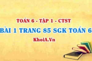 Bài 1 trang 85 SGK Toán 6 Chân trời sáng tạo Tập 1